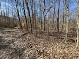 0 Tobaccoport Road Bumpus Mills, TN 37028 - Photo 4 of 8