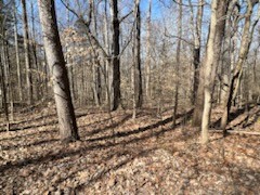 0 Tobaccoport Road Bumpus Mills, TN 37028 - Photo 6 of 8