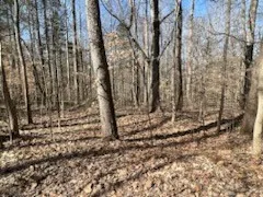 $43,000 | 0 Tobaccoport Road, Bumpus Mills, TN 37028