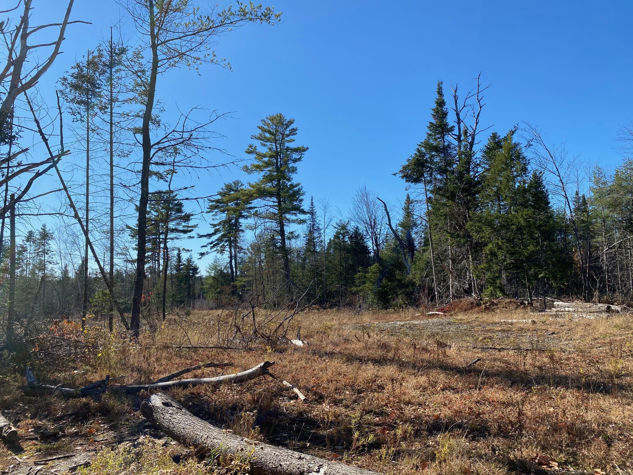 0 Bunker Road Etna, ME 04434 - Photo 5 of 7 5