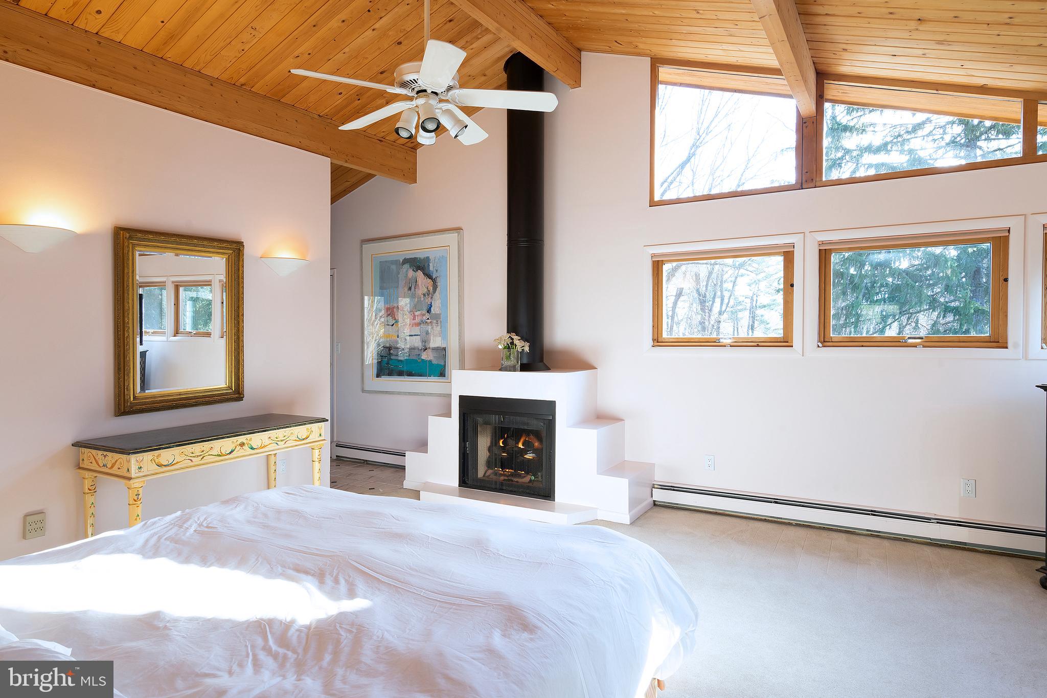 2626 Aquetong Road New Hope, PA 18938 - Photo 20 of 27 a bedroom with furniture fireplace and a window