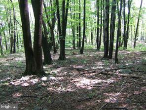 Partially wooded