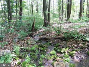 Small stream