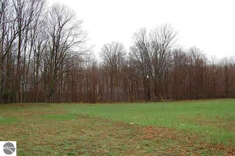 9847 Puffer Road Southwest South Boardman, MI 49680 - Photo 32 of 39 1794072-31.JPG