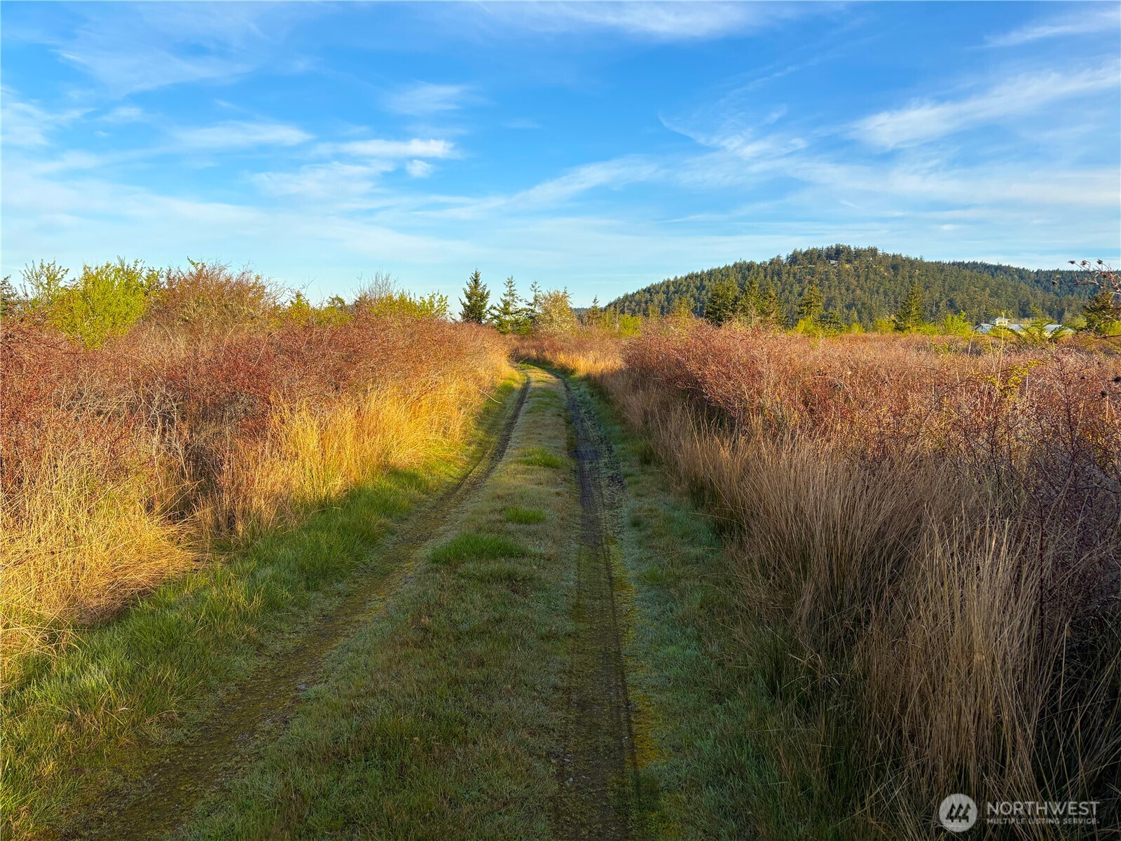 0 Decatur Beach Lane Anacortes, WA 98221 - Photo 15 of 20 a view of lake with green space