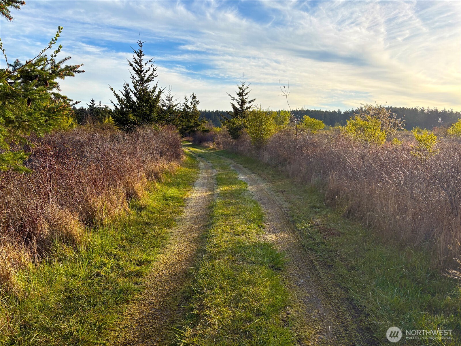 0 Decatur Beach Lane Anacortes, WA 98221 - Photo 19 of 20 a view of lake with green space