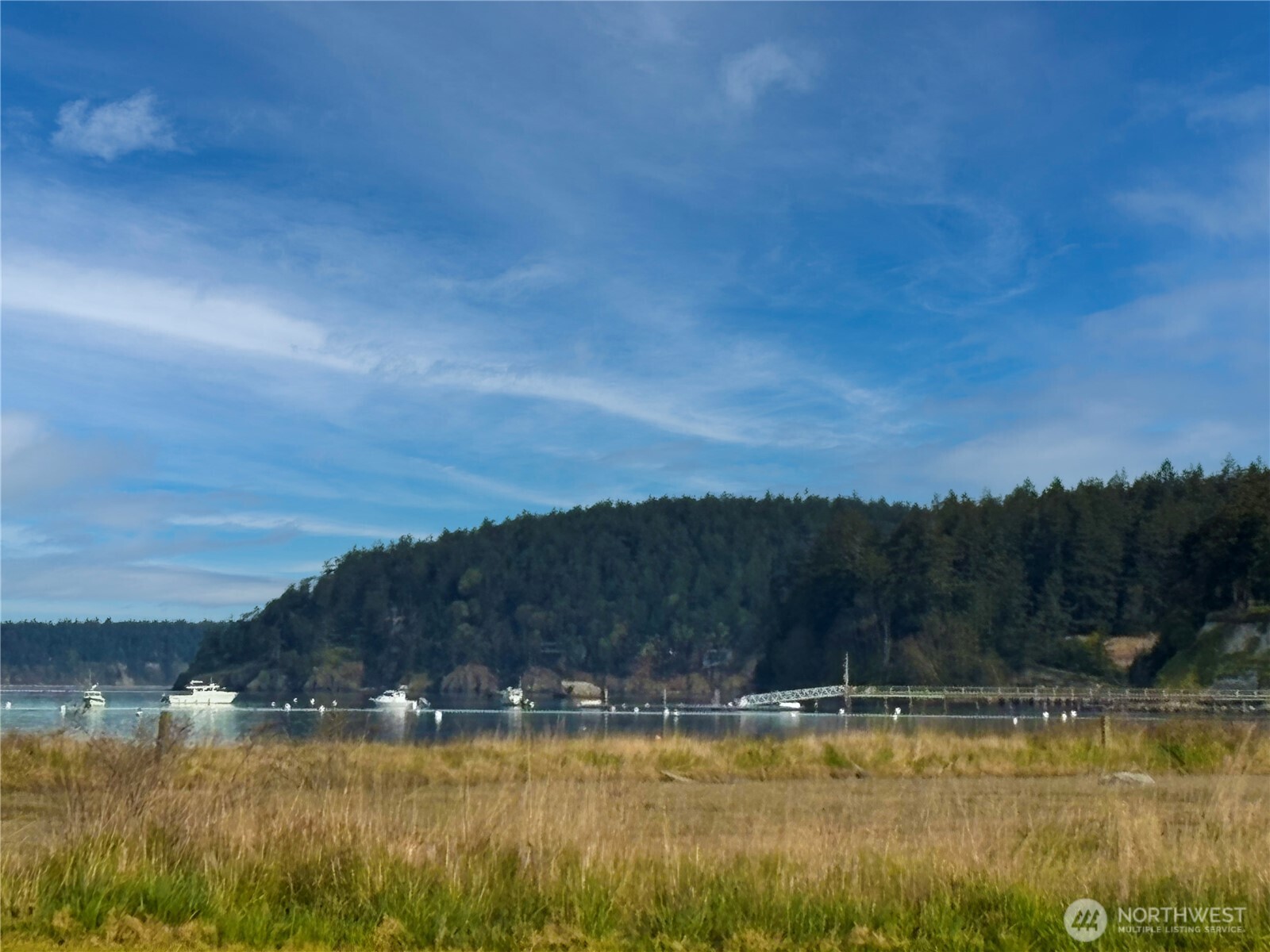 0 Decatur Beach Lane Anacortes, WA 98221 - Photo 6 of 20 a view of a lake with mountains in the background