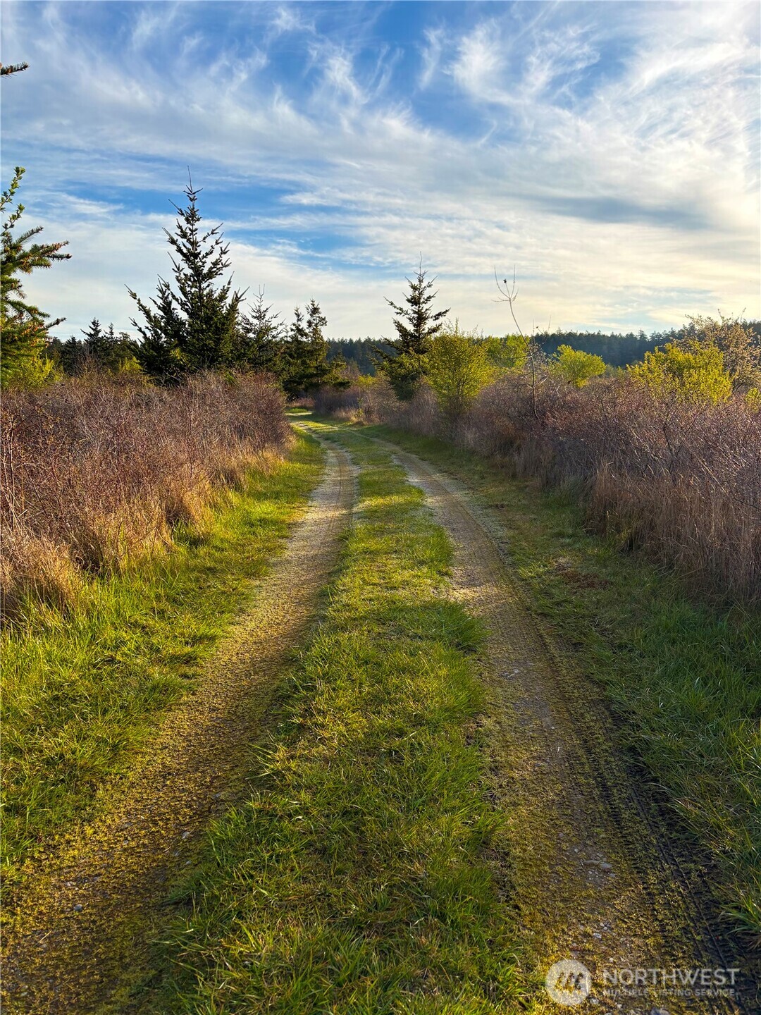 0 Decatur Beach Lane Anacortes, WA 98221 - Photo 10 of 20 a view of an ocean from a yard