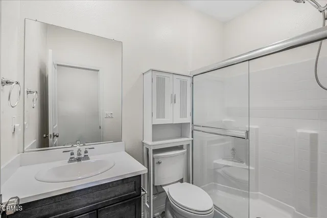 a view of a park with plants and trees