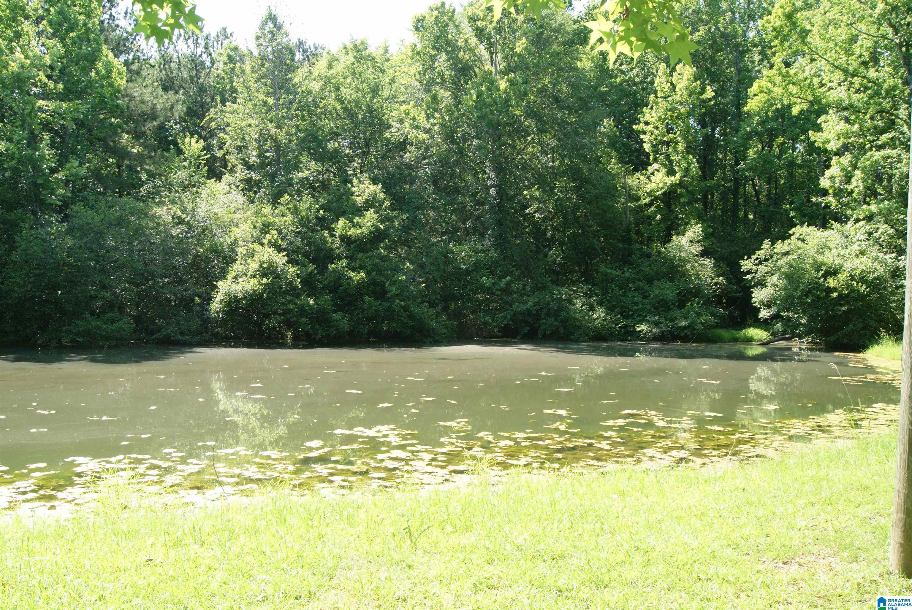 77 Autumn Drive Vincent, AL 35178 - Photo 11 of 16