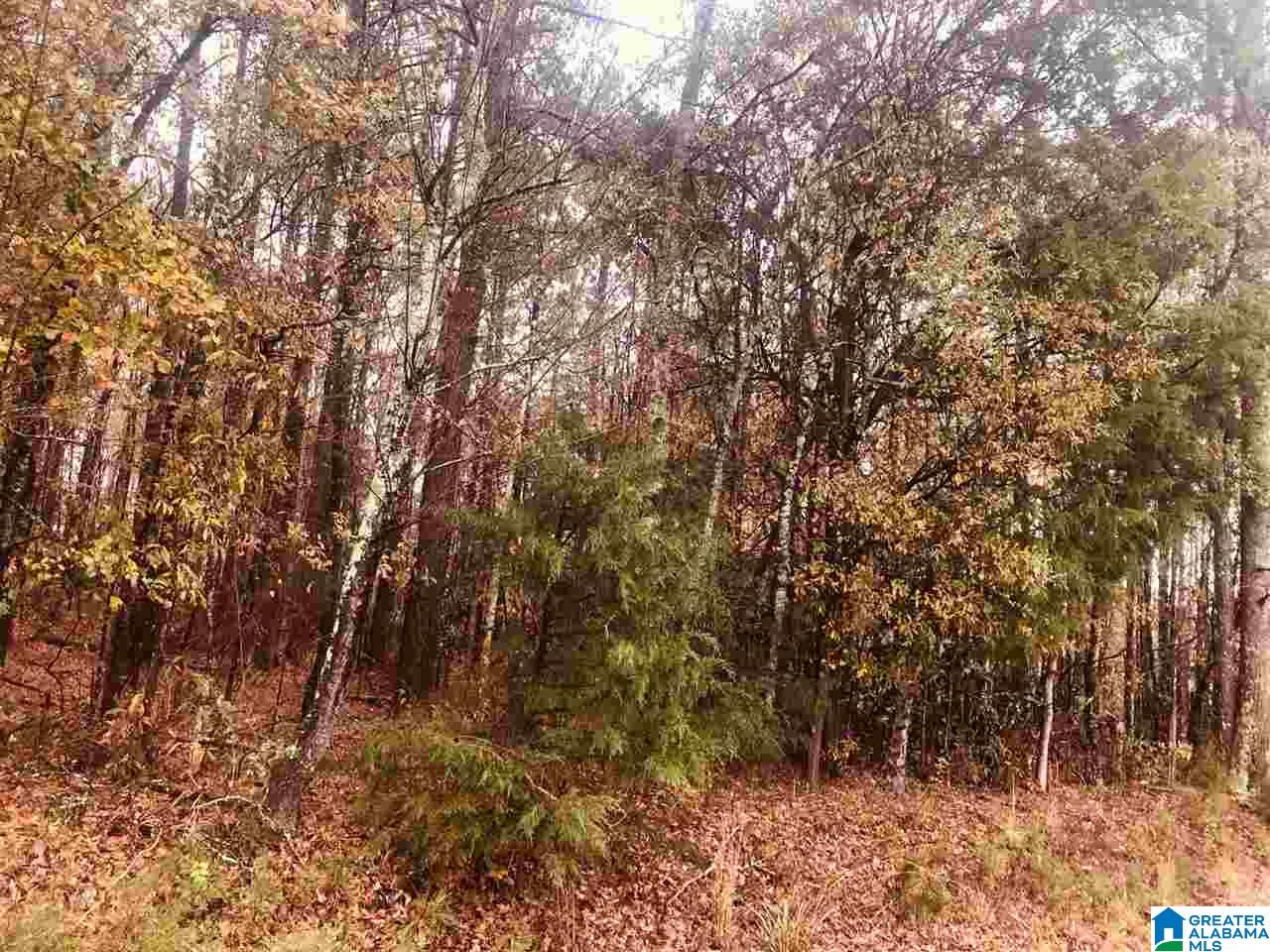 0 Kirby Road, Unit 2 2 Oxford, AL 36203 - Photo 5 of 8