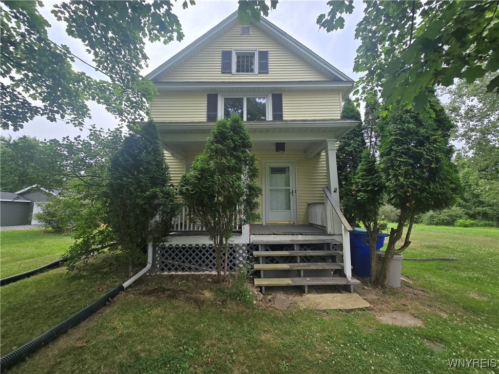 Gallery Image 1