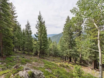 $1,500,000 | 0 Snyder Mountain Road, Evergreen, CO 80439