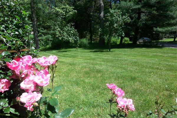13 Maplewood Road Medfield, MA 02052 - Photo 28 of 30 Gallery Image 28