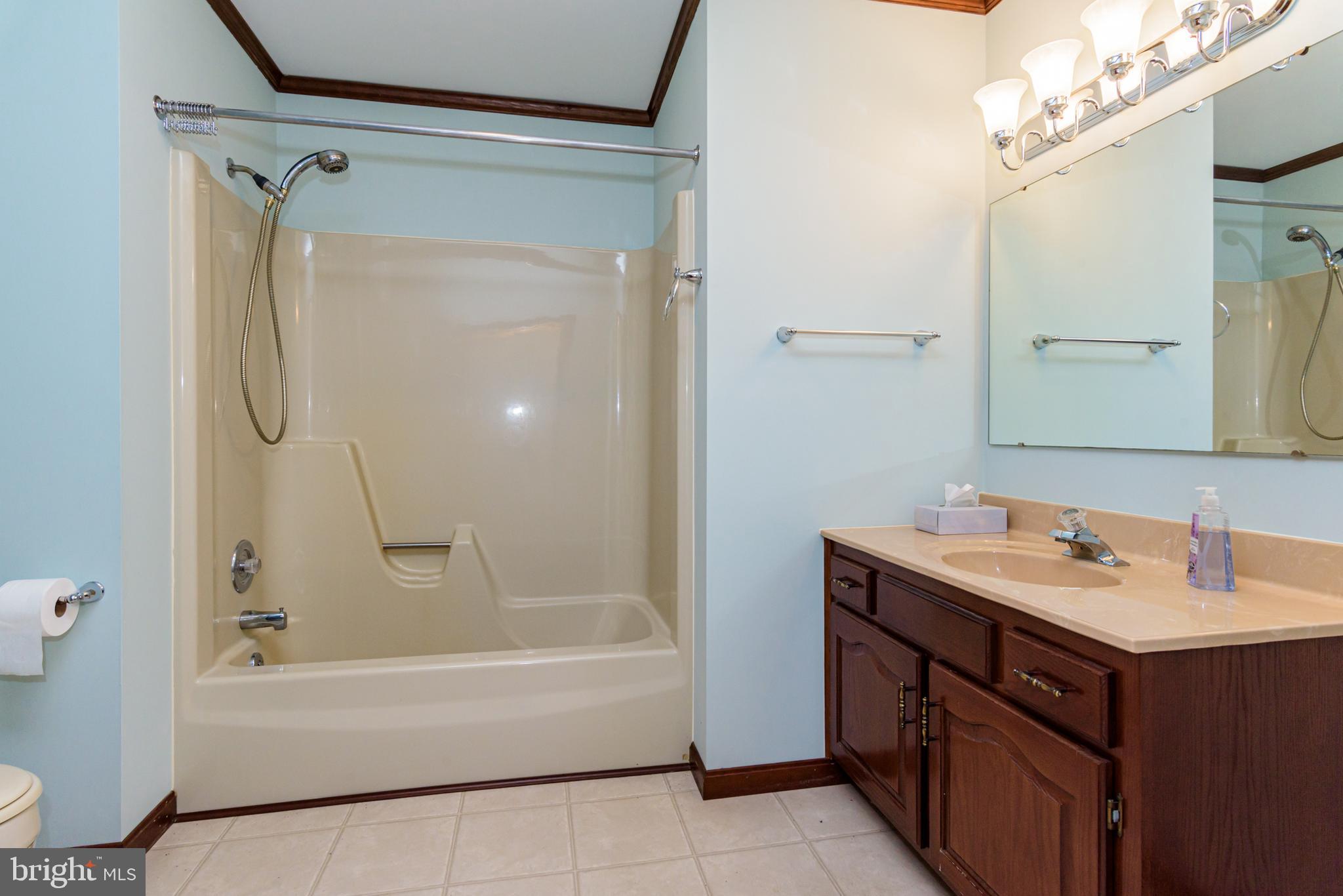 5165 Debra Road Marion Station, MD 21838 - Photo 53 of 101 Hall bath