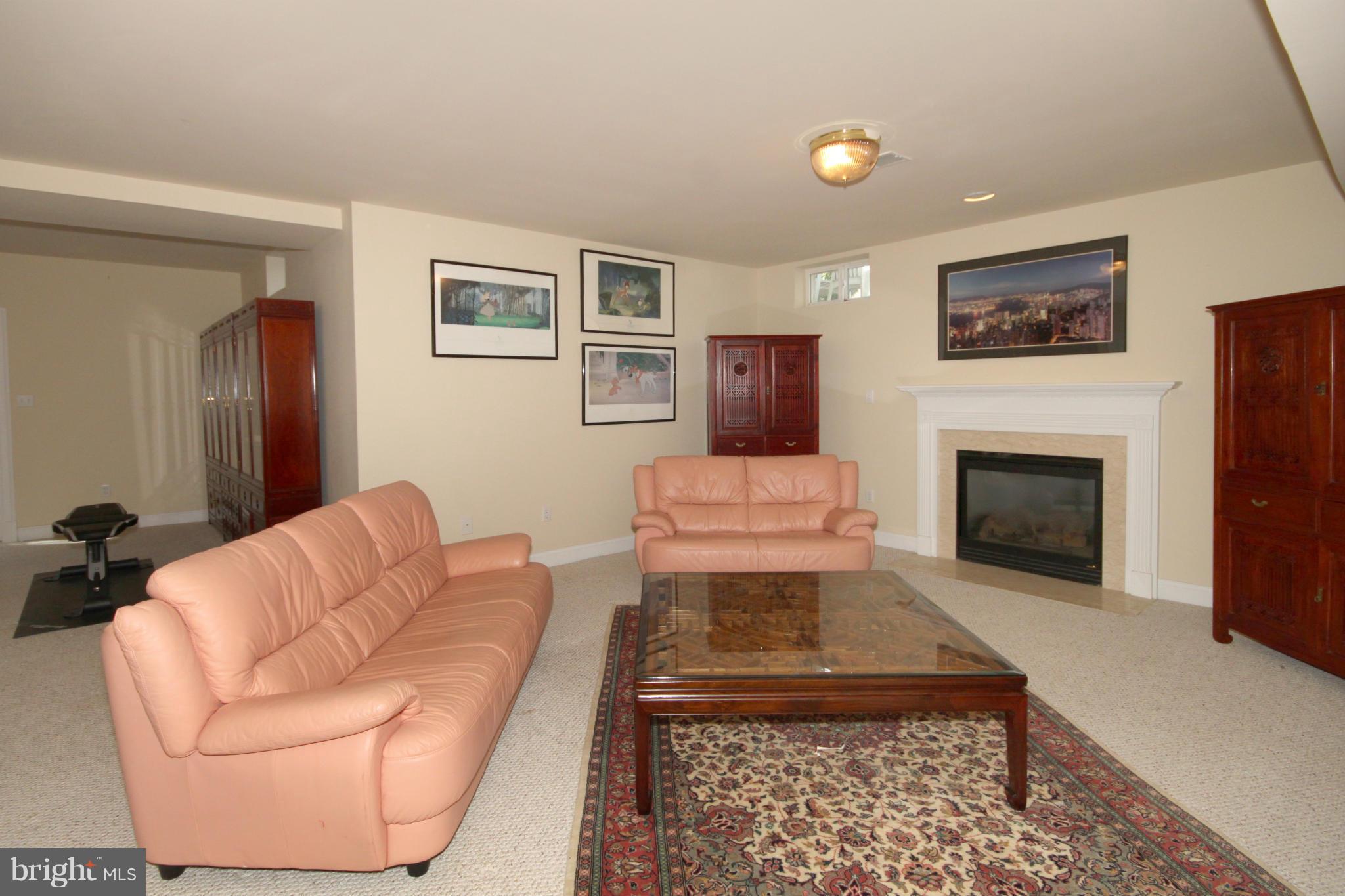 4032 Hunt Road Fairfax, VA 22032 - Photo 17 of 30 Recreation Room