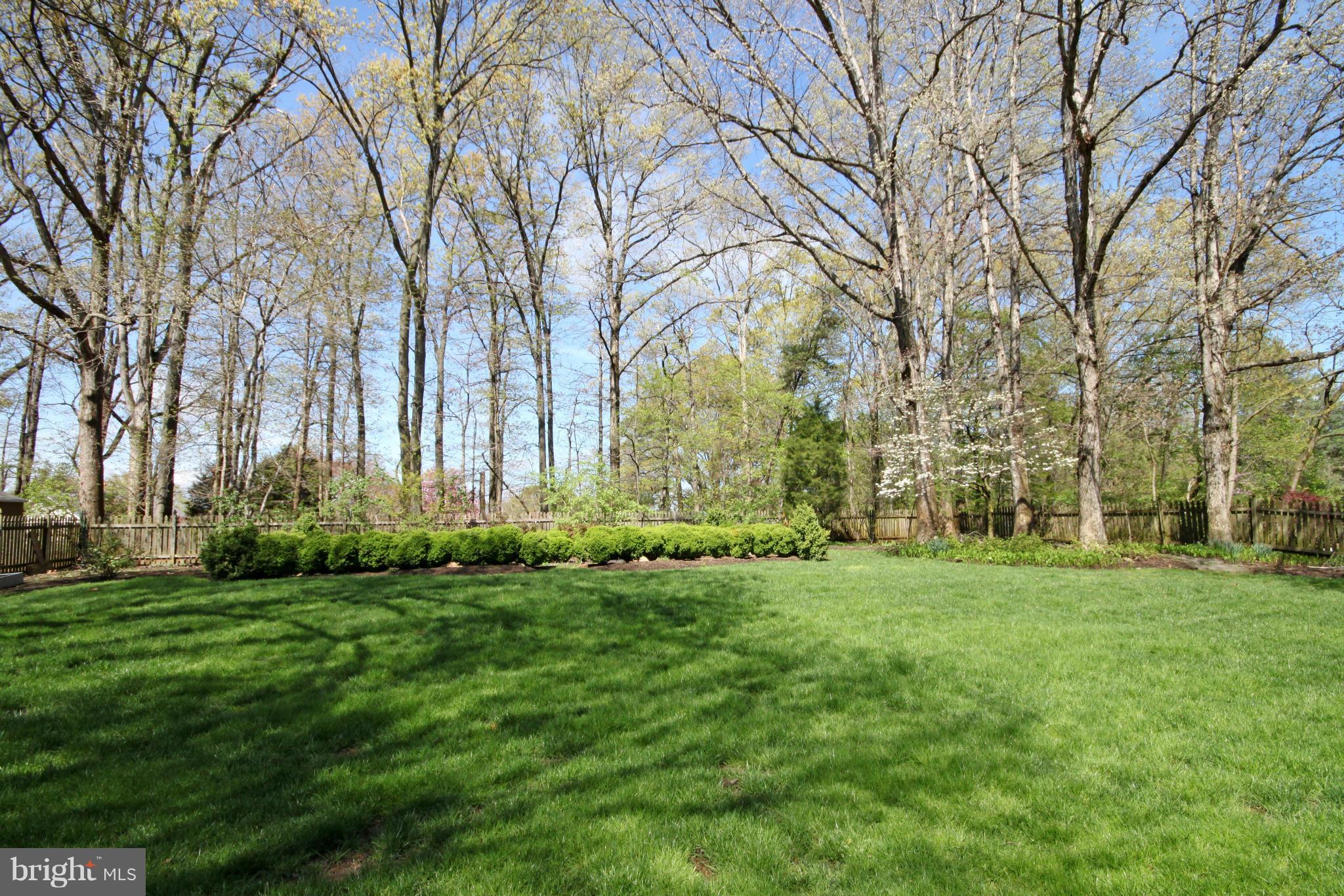4032 Hunt Road Fairfax, VA 22032 - Photo 28 of 30 Exterior (Rear)