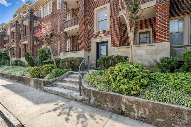 a view of a garden with pathway