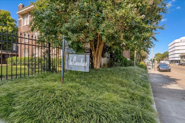 a view of a park that has large trees