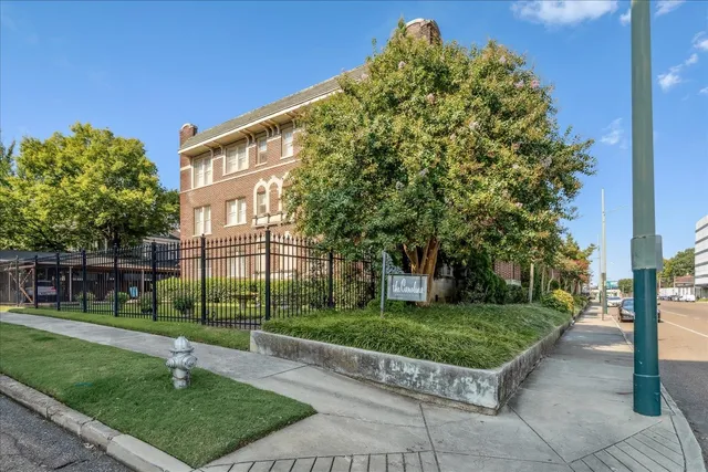 a garden with trees in front of it