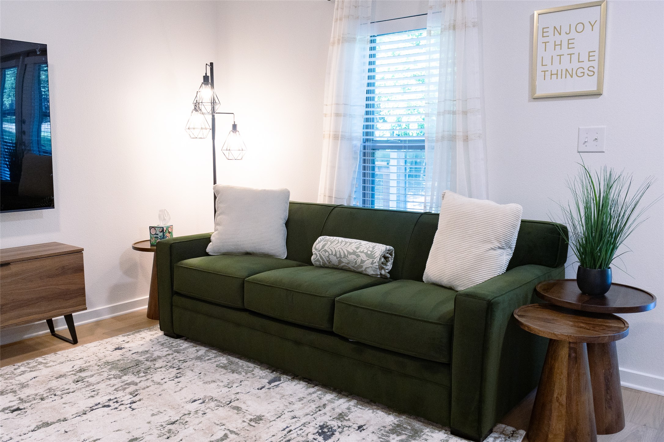2505 Thornton Road, Unit 3108 Austin, TX 78704 - Photo 8 of 32 a living room with furniture and a potted plant