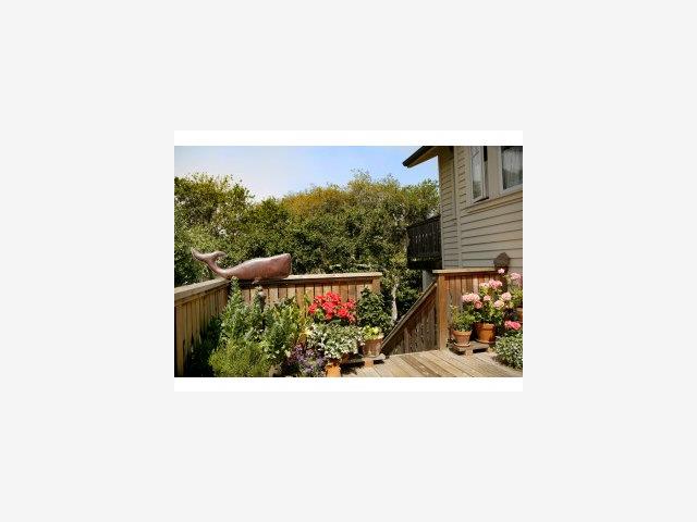 Lincoln Street Carmel, CA 93923 - Photo 6 of 9