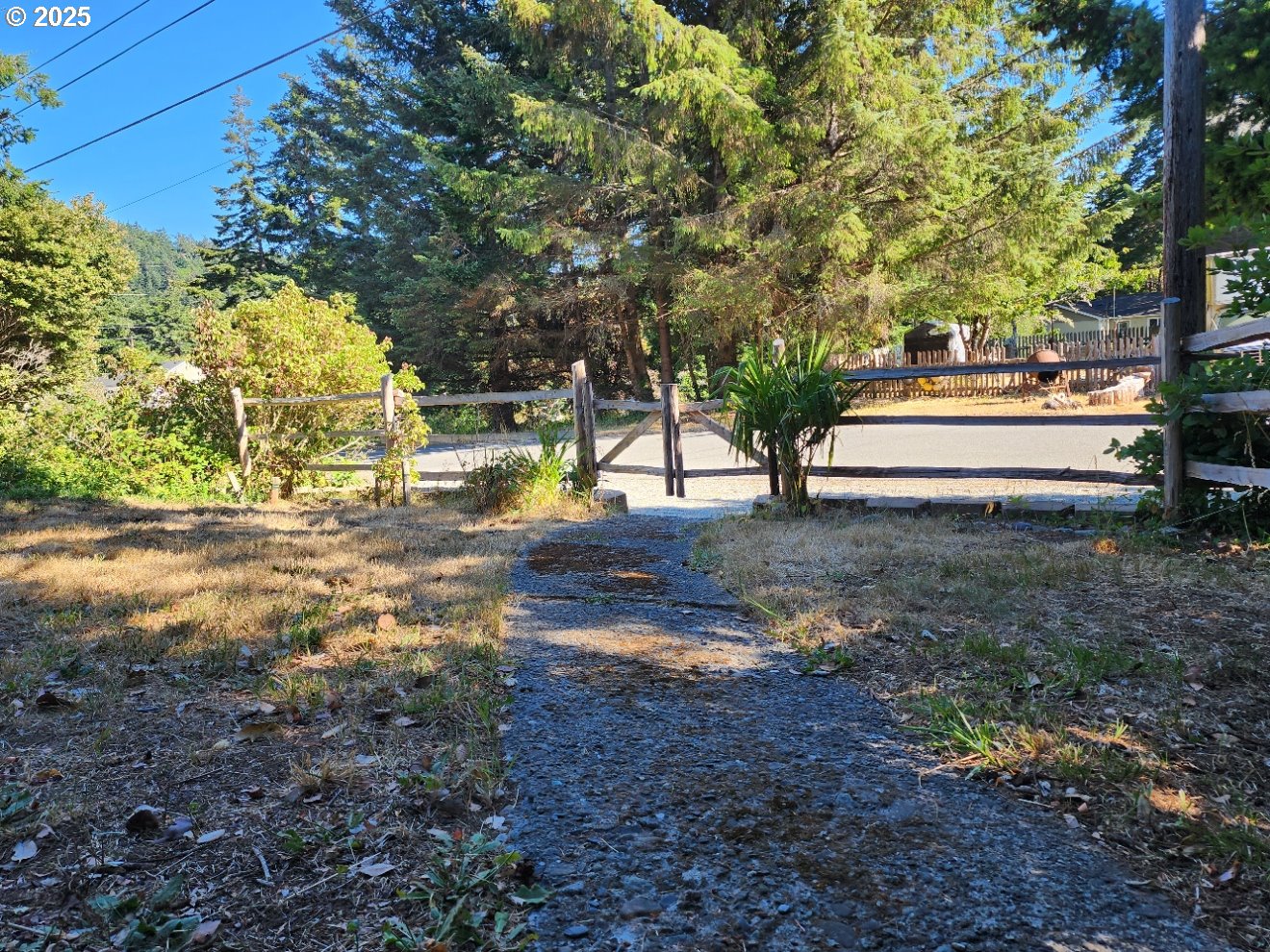 636 18th Street Port Orford, OR 97465 - Photo 26 of 29 a view of a yard with tree s