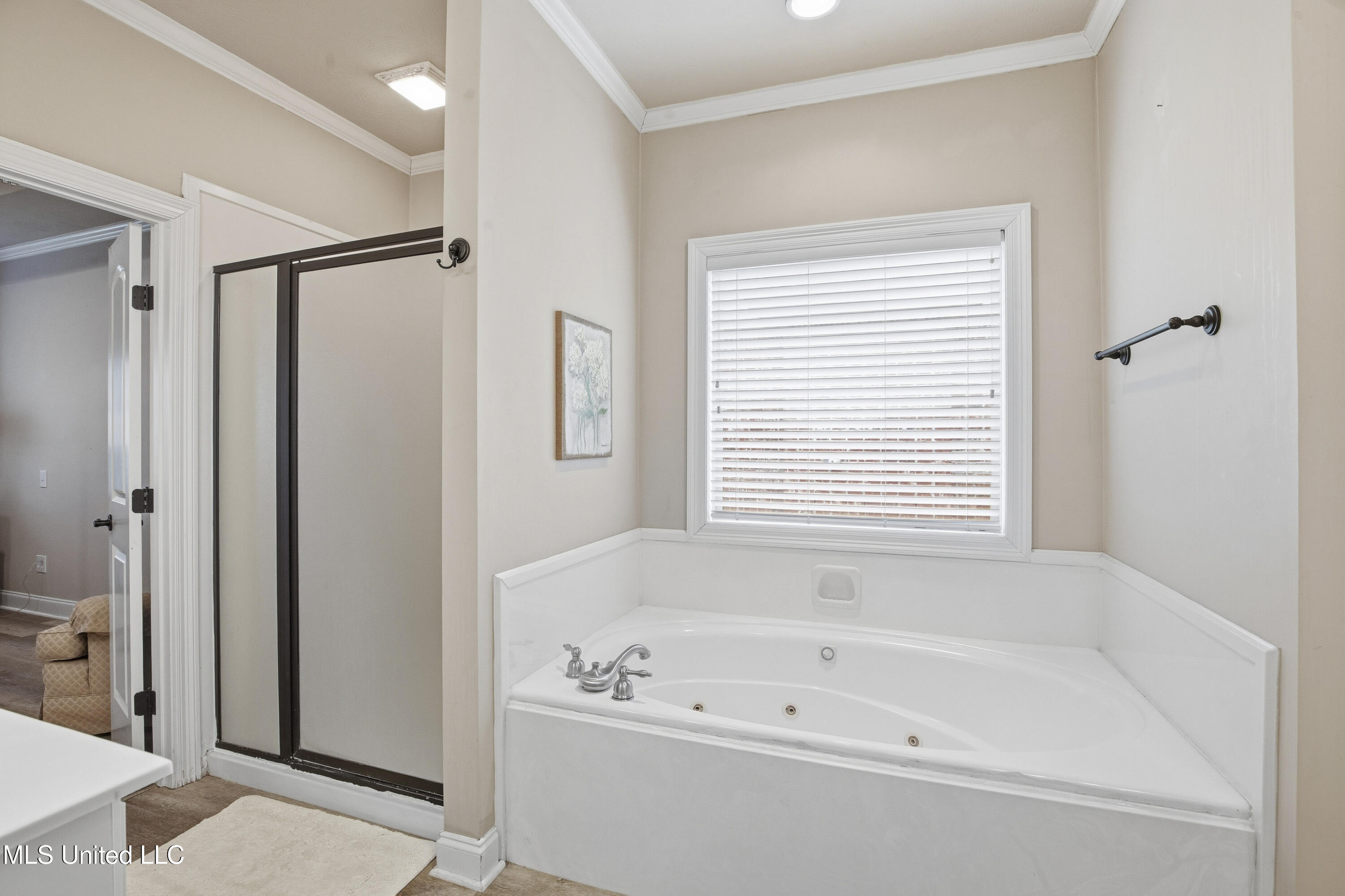 229 Turtle Lane Brandon, MS 39047 - Photo 31 of 51 229 Turtle Ln-33