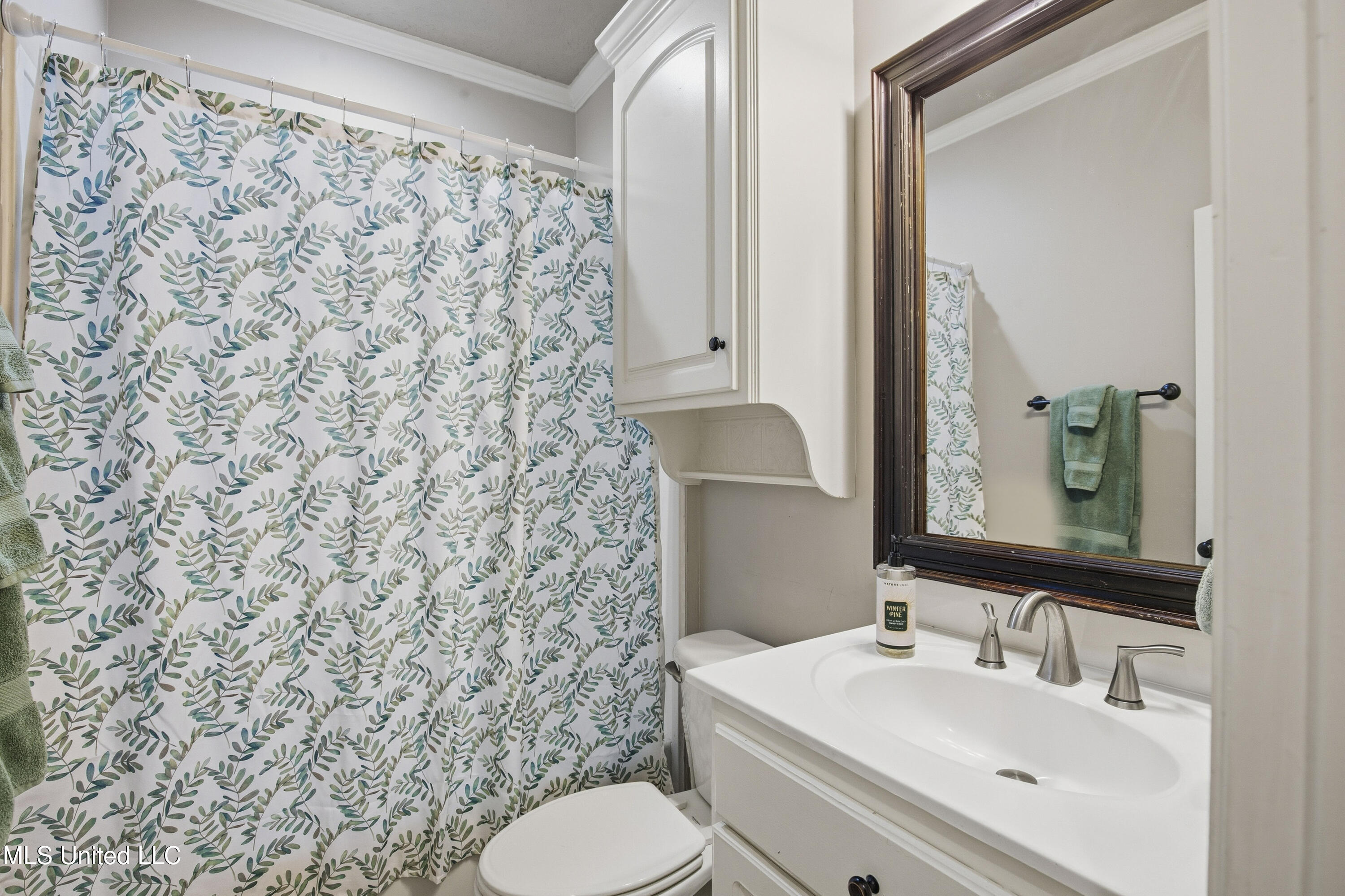 229 Turtle Lane Brandon, MS 39047 - Photo 43 of 51 229 Turtle Ln-45