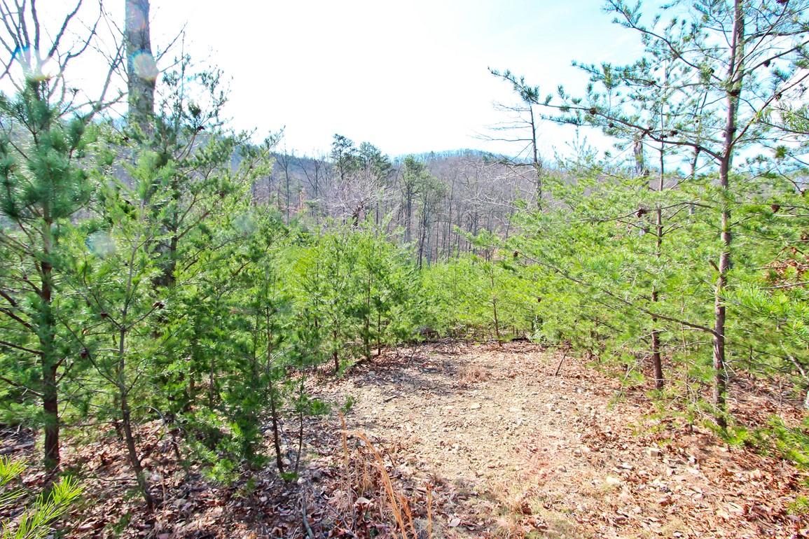 Lot 37 Trentham Road Newport, TN 37821 - Photo 10 of 12 IMG_3195