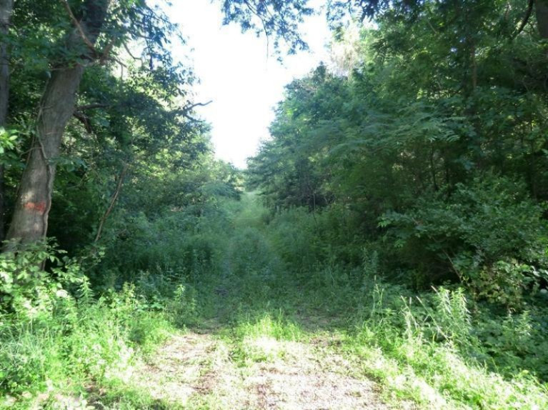 543 Dorrance Road Coldwater, MI 49036 - Photo 1 of 1 Primary Photo