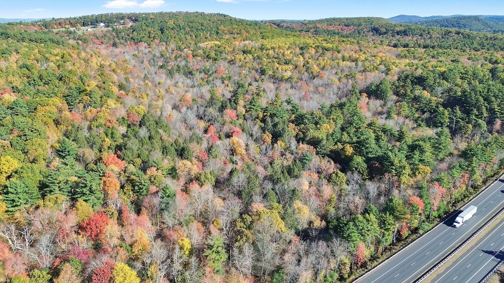a view of a city with lush green forest