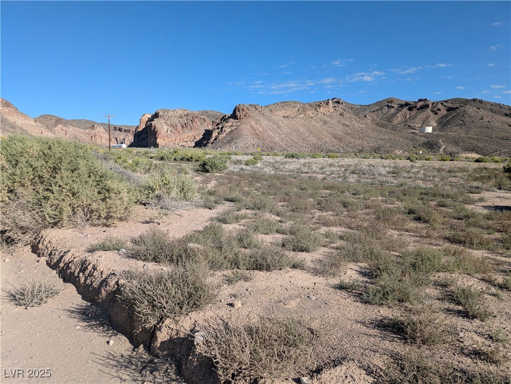 93 (15.92 Ac) Caliente, NV 89008 - Photo 11 of 19