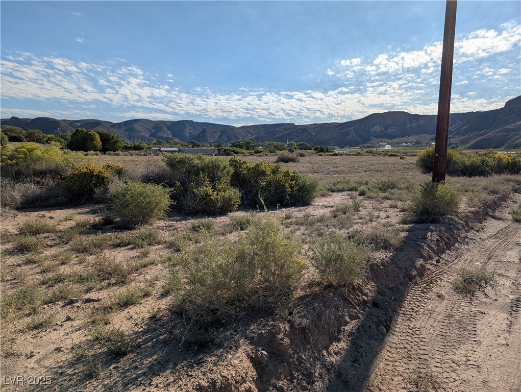 93 (15.92 Ac) Caliente, NV 89008 - Photo 12 of 19