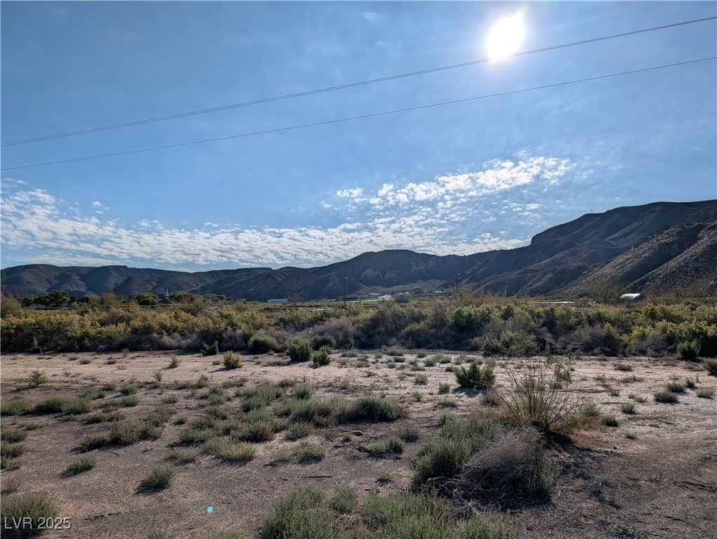 93 (15.92 Ac) Caliente, NV 89008 - Photo 13 of 19