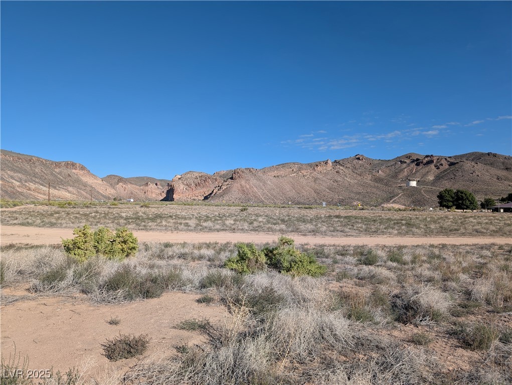 93 (15.92 Ac) Caliente, NV 89008 - Photo 14 of 19