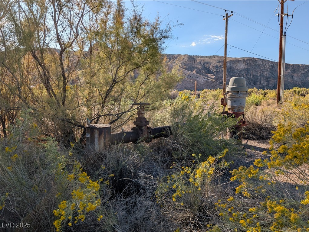 93 (15.92 Ac) Caliente, NV 89008 - Photo 15 of 19