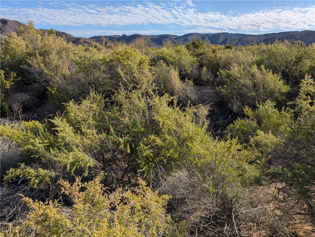 93 (15.92 Ac) Caliente, NV 89008 - Photo 17 of 19