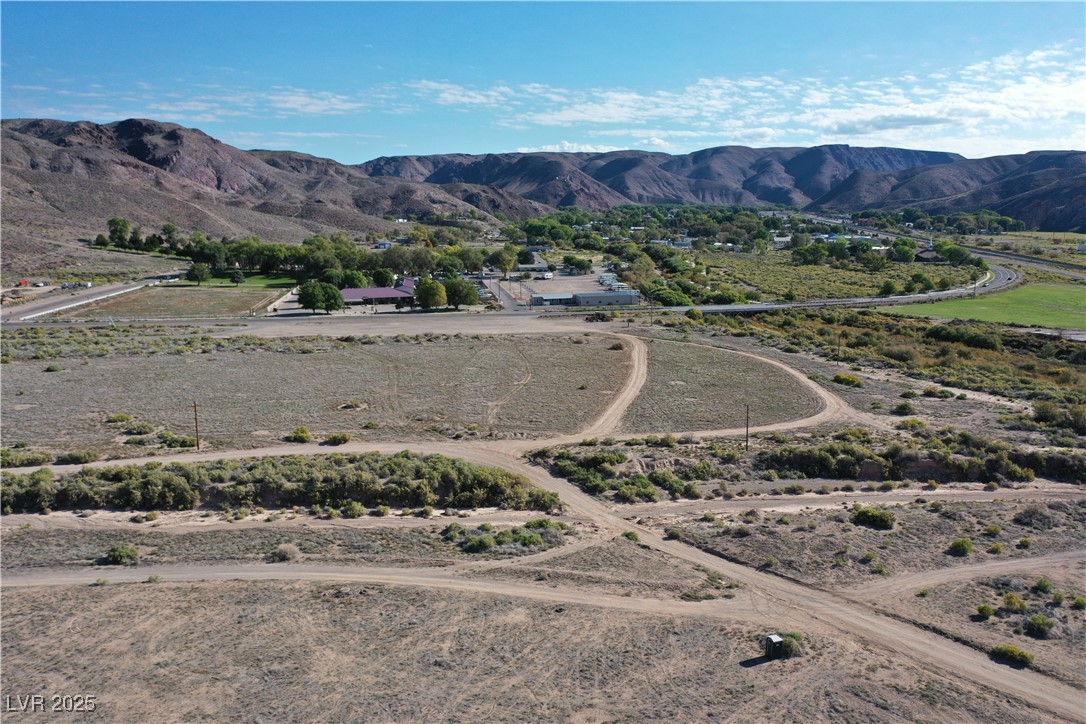 93 (15.92 Ac) Caliente, NV 89008 - Photo 3 of 19