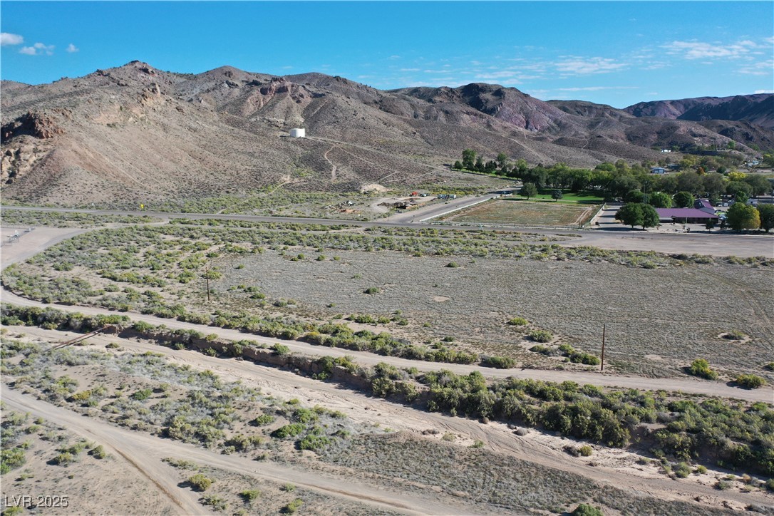 93 (15.92 Ac) Caliente, NV 89008 - Photo 4 of 19