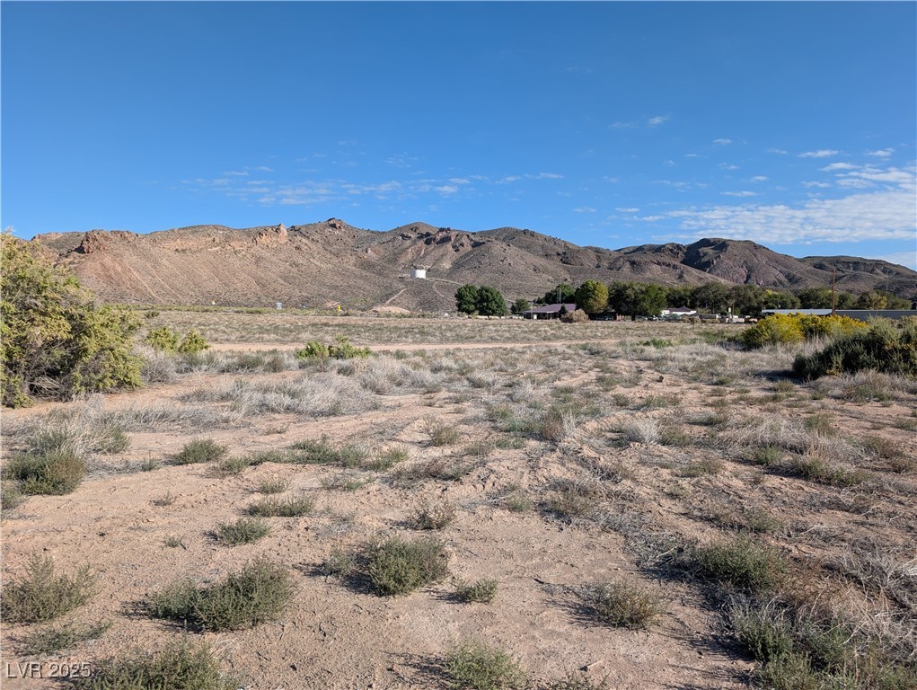 93 (15.92 Ac) Caliente, NV 89008 - Photo 5 of 19