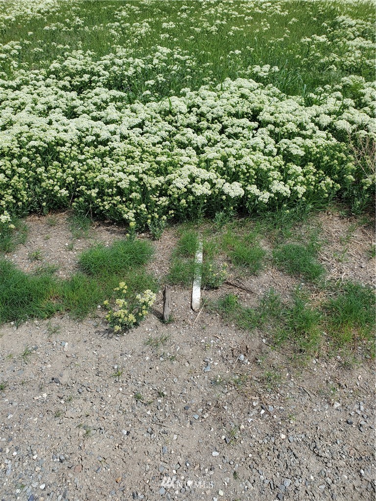 3 Lightning Pine Road Methow, WA 98834 - Photo 14 of 28
