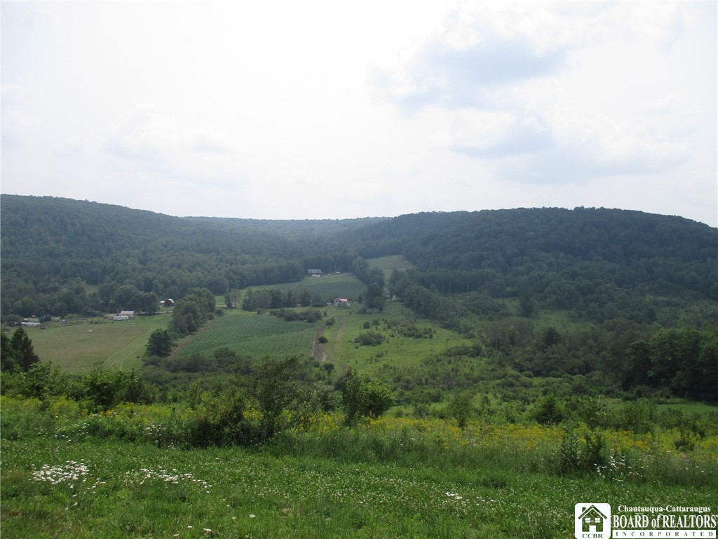 0 Graves Rd Crossing Road Wellsville, NY 14895 - Photo 1 of 1 Gallery Image 1