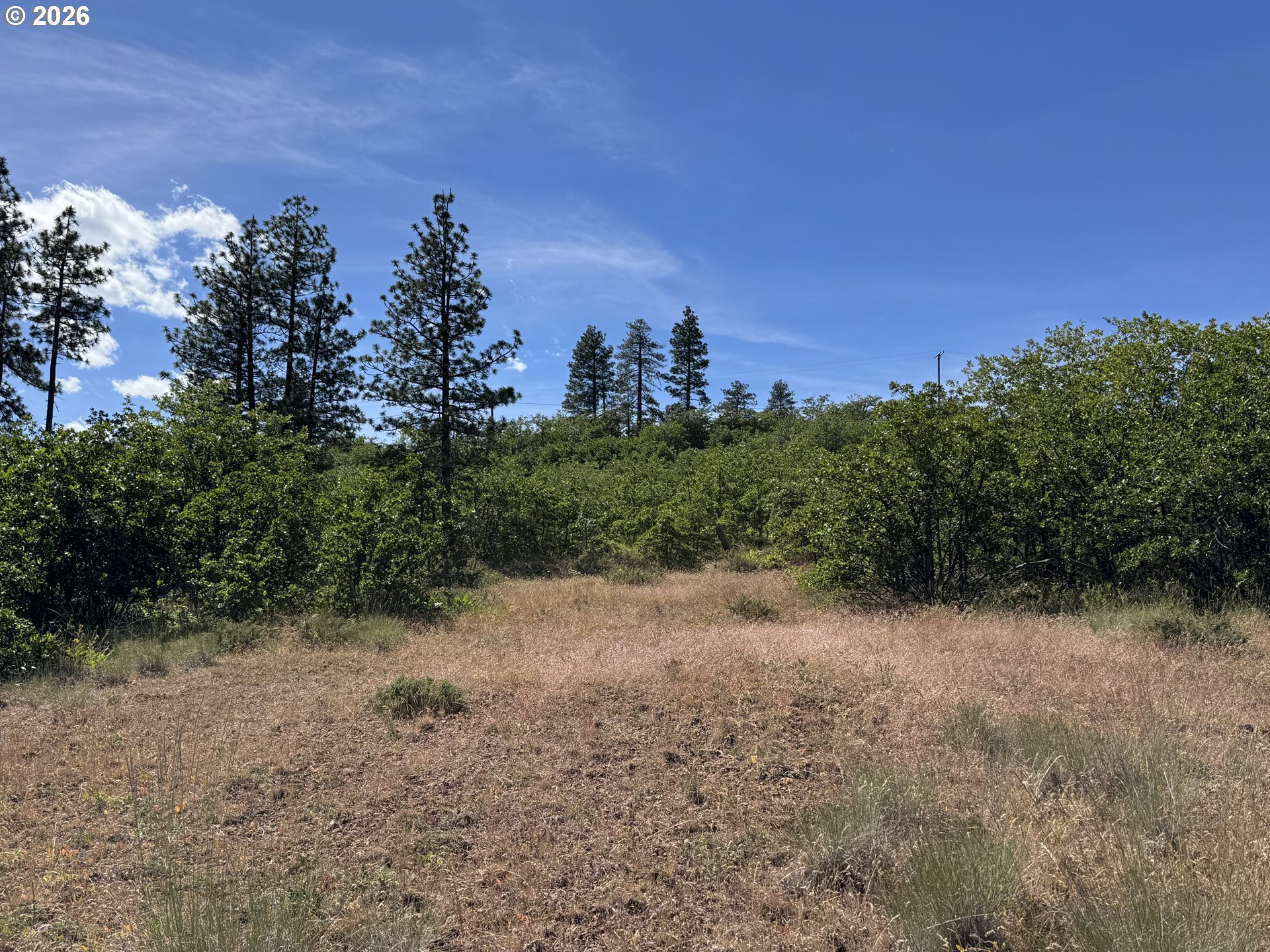 112 Timber Road Roosevelt, WA 99356 - Photo 27 of 31