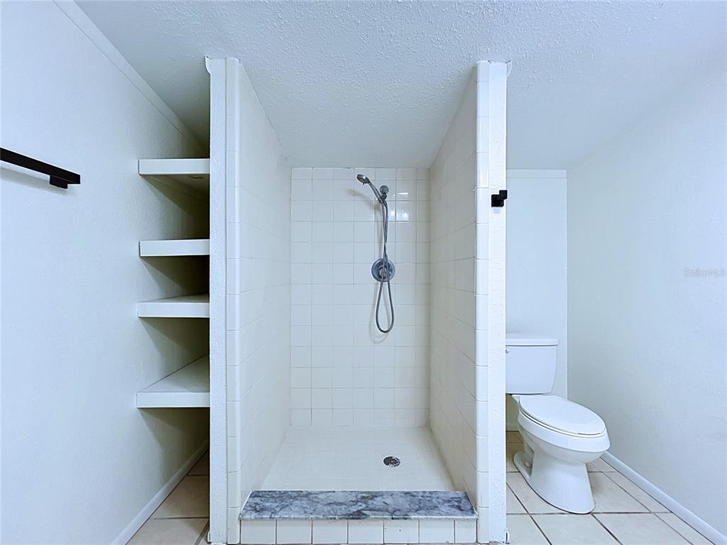 11008 Browning Road Lithia, FL 33547 - Photo 68 of 88