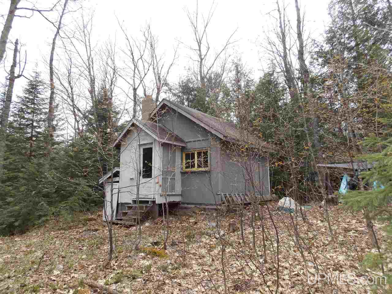 Tbd Tbd Off Hakkinen Road Lanse, MI 49946 - Photo 9 of 9