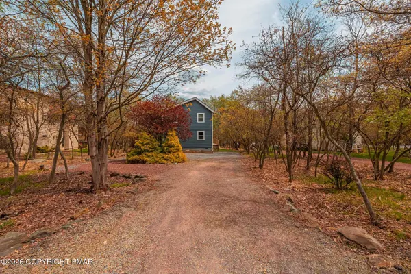 a view of a yard with a tree