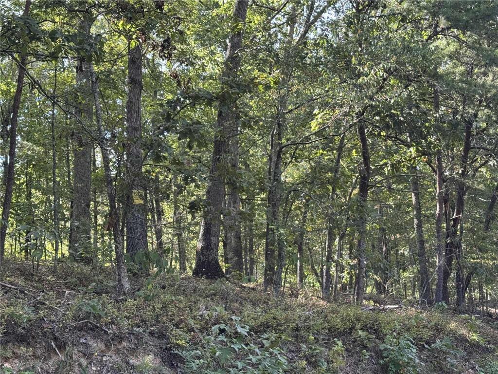 0 Cagle Road Northeast Rydal, GA 30171 - Photo 5 of 12