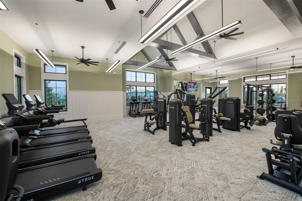 33425 Herds Hallow Way Wesley Chapel, FL 33545 - Photo 23 of 30 a view of a room with gym equipment