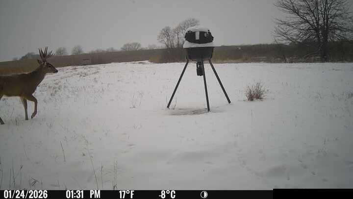 0 South Stanley Road Quenemo, KS 66528 - Photo 38 of 44